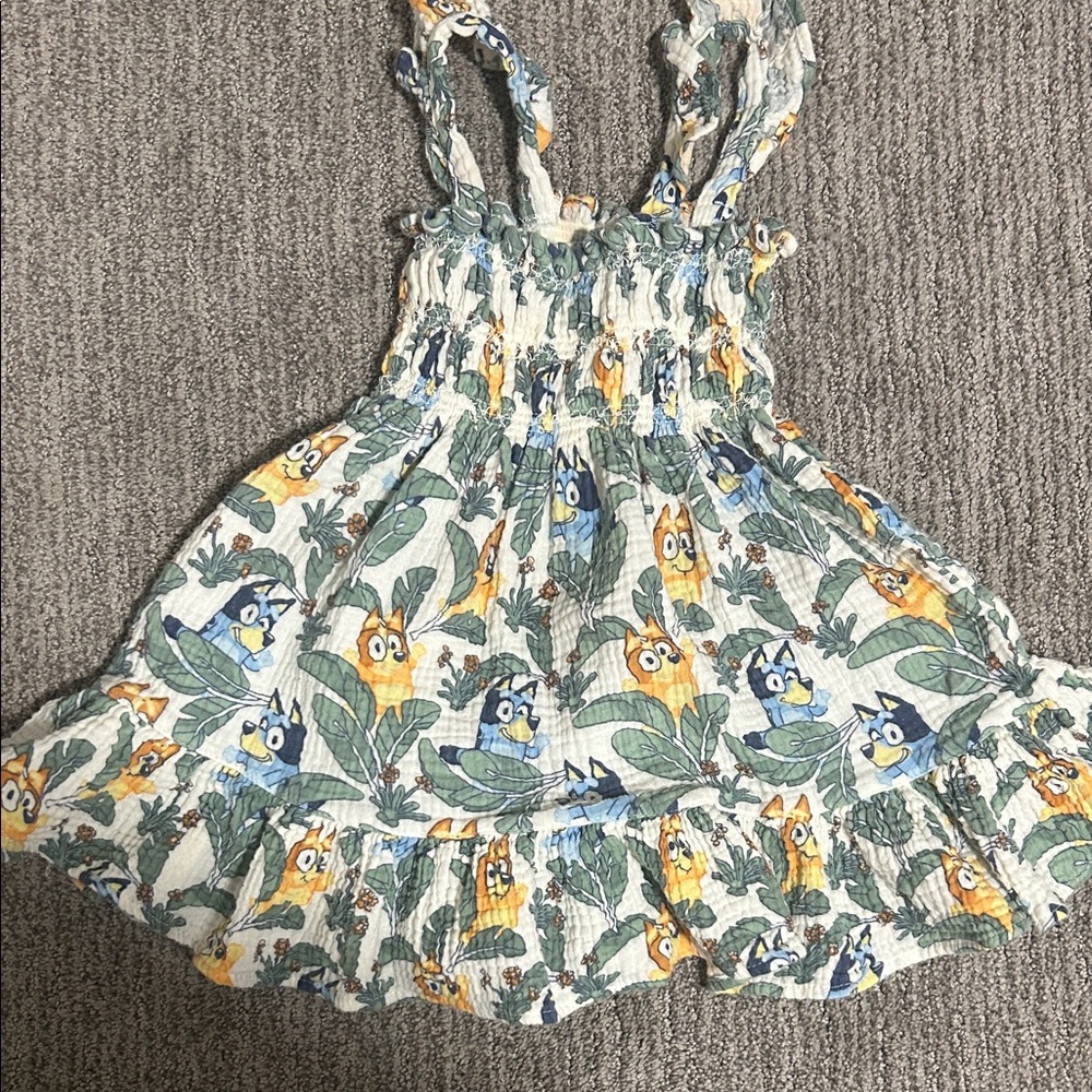 Cotton Bluey Dress